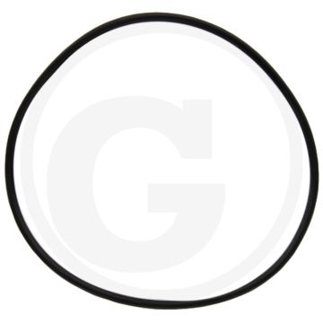 O-ring (differentieel, links,  Ø: 101 x 3 mm)