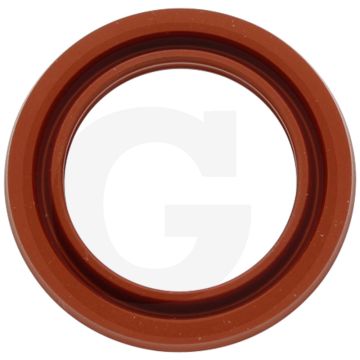Profielring (voor ingaande as  30 x 43 x 4,9 mm)