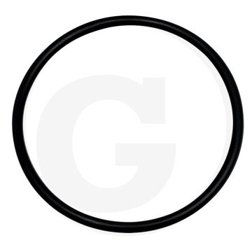 O-ring Ø 47,29 x 2,62 mm
