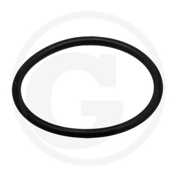 O-ring (voor filterhuis)