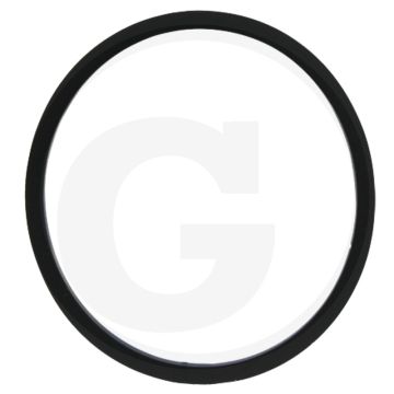 O-ring (voor zuiger)