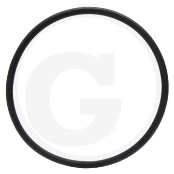 O-ring (voor cilinderbuis)