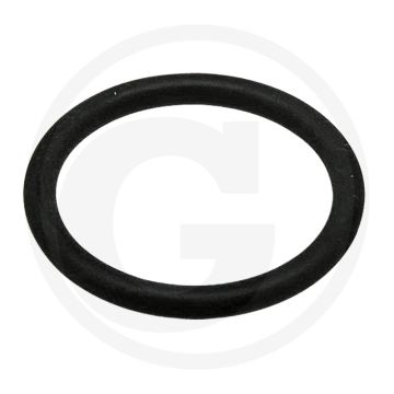 O-ring (voor oliepeilstok)