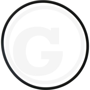 Afdichtring (voor zuiger)