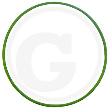 Afdichtring (voor zuiger)