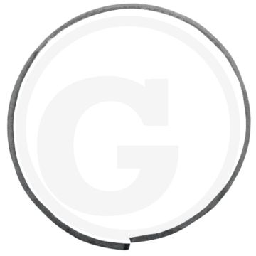 Afdichtring (voor zuiger)
