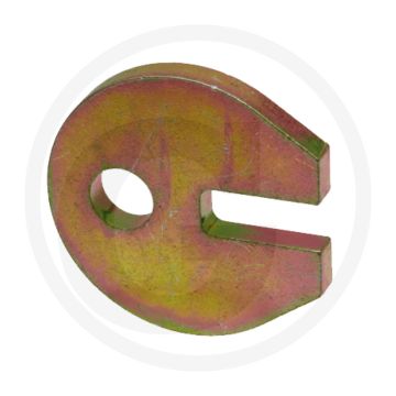 Borgplaat (voor gewricht)