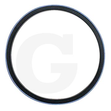 Afdichtringset (voor 100 mm zuiger)