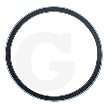 Afdichtringset (voor zuiger)