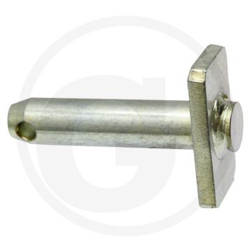 Borgpen (voor stelinrichting)