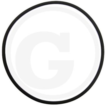 Afdichtring (voor zuiger)
