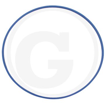 Afdichtring (voor zuiger)