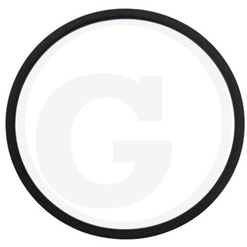 O-ring (voor zuiger)