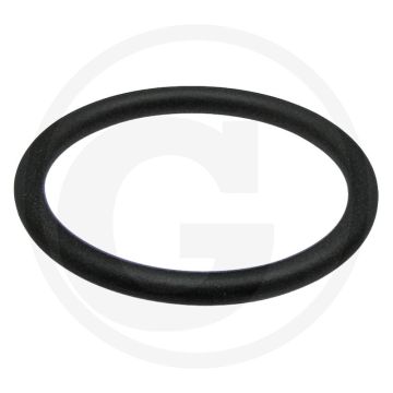 O-ring (rechts)