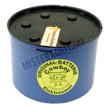 Droge batterij - incl. verwijderingsbijdrage