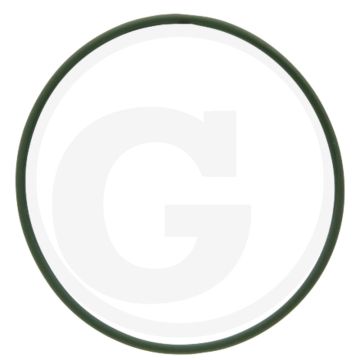 O-ring (Ø: 42 x 1,5 mm)