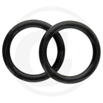 O-ring (voor tussenstuk van thermostaathuis)