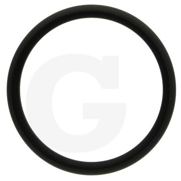 O-ring (voor tussenstuk van thermostaathuis)
