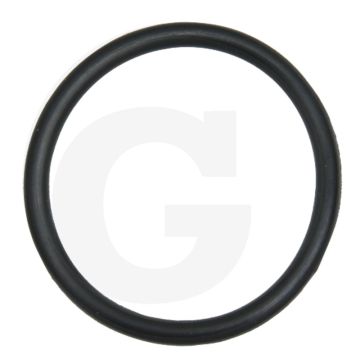 O-ring (27 x 2,8 mm)