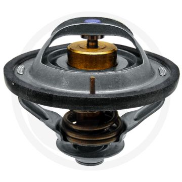 Thermostaat 81°C