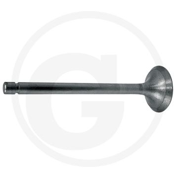 Inlaatklep Belarus MTS 50, 52, 80, 82, 900, 920