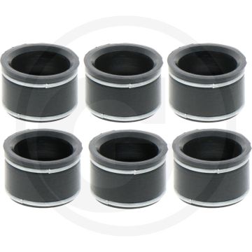 Victor Reinz Klepafdichtingset ((6 stuks))