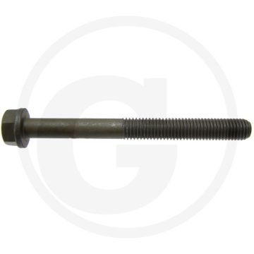 Cilinderkopbout lengte 120 mm