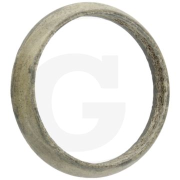 Ring (voor uitlaatsysteem)
