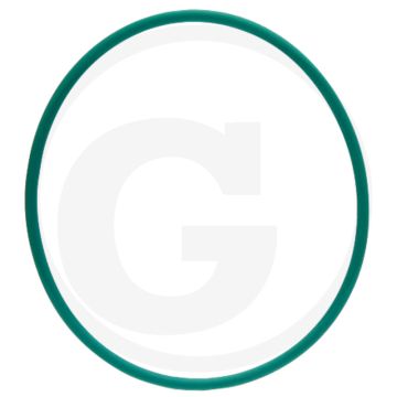 Afdichtring (voor brandstofpompflens)
