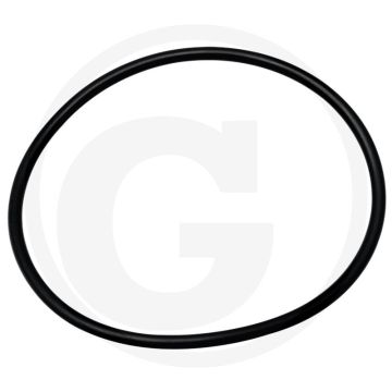 Afdichtring (voor oliefilter)