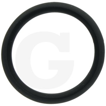 Afdichtring (voor injector)
