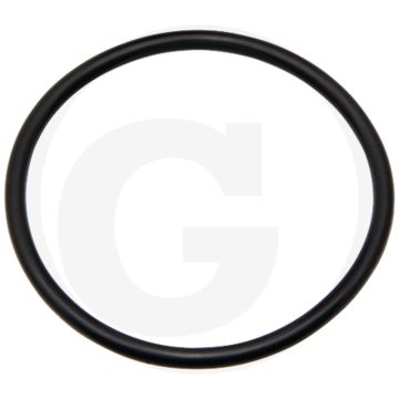 O-ring voor flens