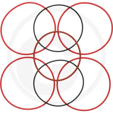 O-ring set ((op de bus), 3 stuks)