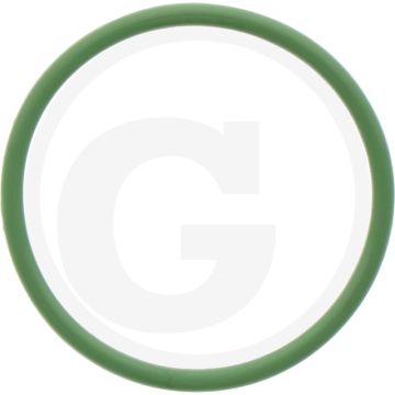 O-ring (voor uitlaatterugvoerklep,  Ø 37,77 x 2,6 mm)