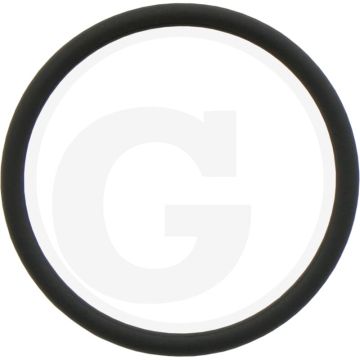 O-ring (21,946 x 1,778 mm)