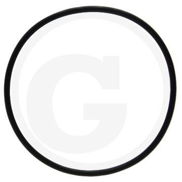 O-ring (voor montagedeksel)