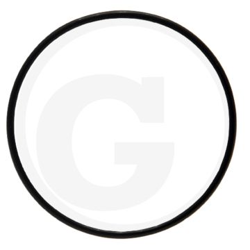 O-ring (voor montagedeksel)