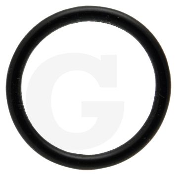 O-ring (29,743 x 3,531 mm)