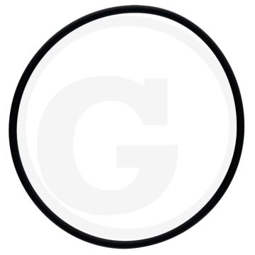O-ring
