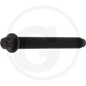 Cilinderkopbout M12 x 100