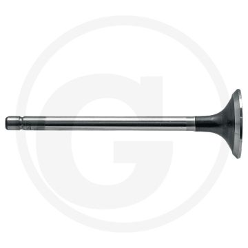 Uitlaatklep New Holland TD/TL