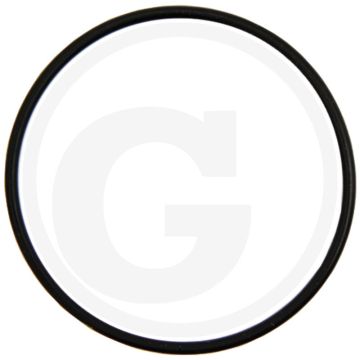 O-ring