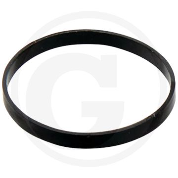 Grafietring O-ring