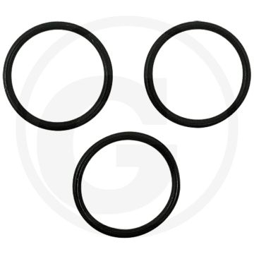 Afdichtset (voor flensoppervlak Aanbouwstuurventiel 85219009)