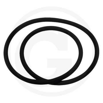 O-ring (voor achterste krukaskeerring)