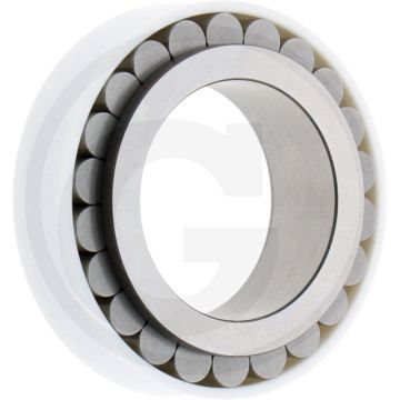 Zf Planeet lager 0750.118.072