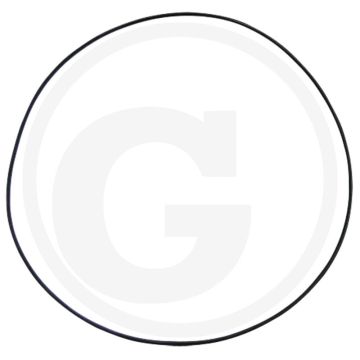 O-ring