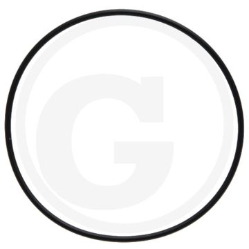 O-ring