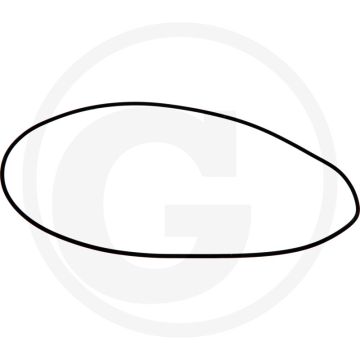 O-ring (Planeetdrager)