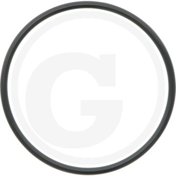 O-ring (51 x 2,5 mm)